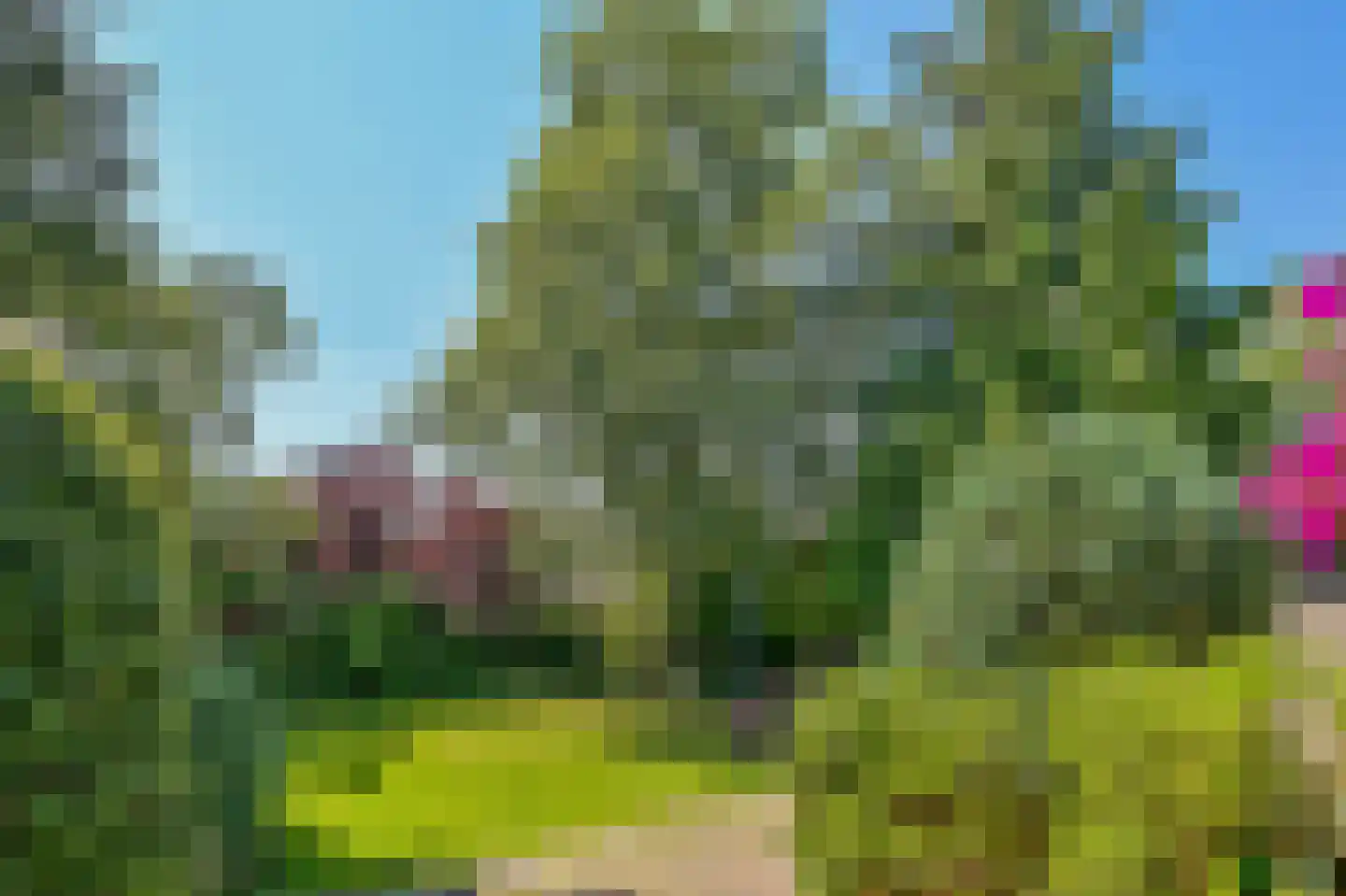 Provincialeweg 250 Zaandam thumbnail 35