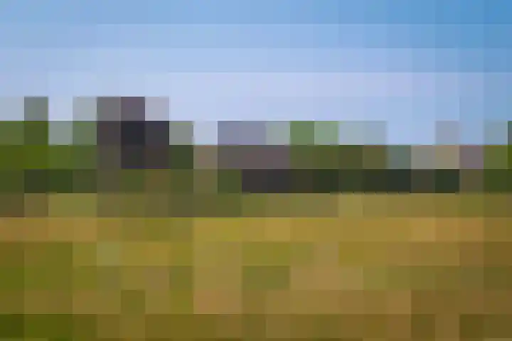 Provincialeweg 28 Maren-Kessel thumbnail 4