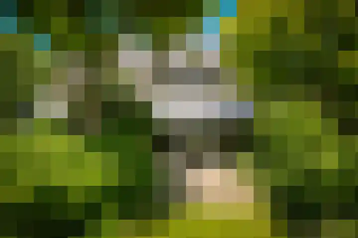 Provincialeweg 28 Maren-Kessel thumbnail 51