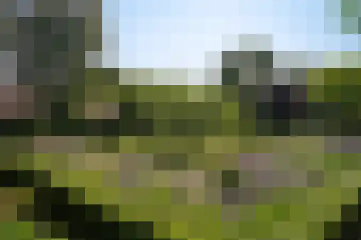 Provincialeweg 28 Maren-Kessel thumbnail 53