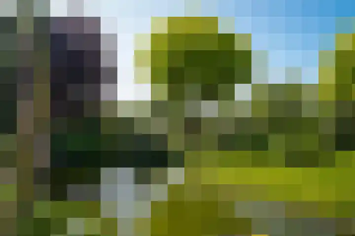 Provincialeweg 28 Maren-Kessel thumbnail 54