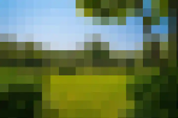 Provincialeweg 28 Maren-Kessel thumbnail 55