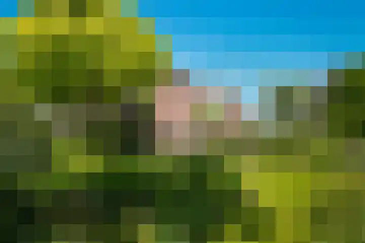 Provincialeweg 28 Maren-Kessel thumbnail 56