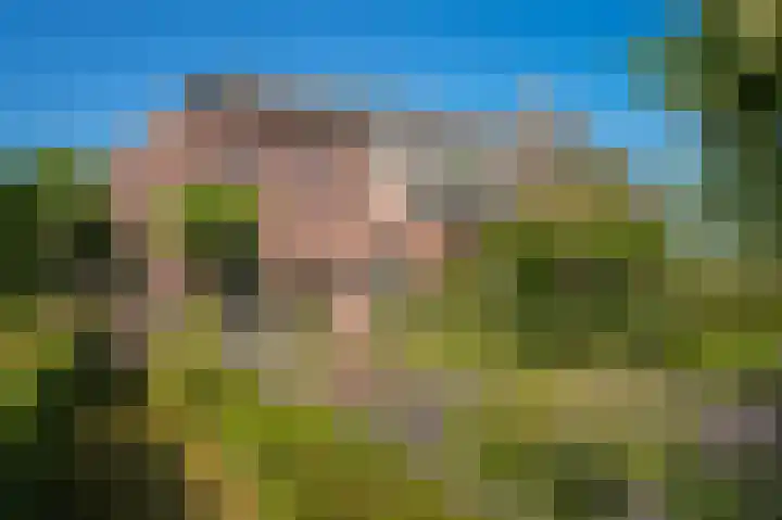 Provincialeweg 28 Maren-Kessel thumbnail 6