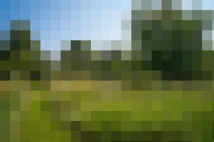 Provincialeweg 28 Maren-Kessel thumbnail 60