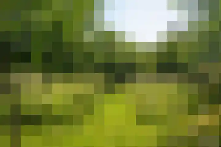Provincialeweg 28 Maren-Kessel thumbnail 62