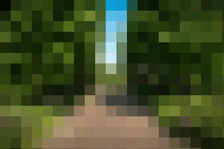 Provincialeweg 28 Maren-Kessel thumbnail 65