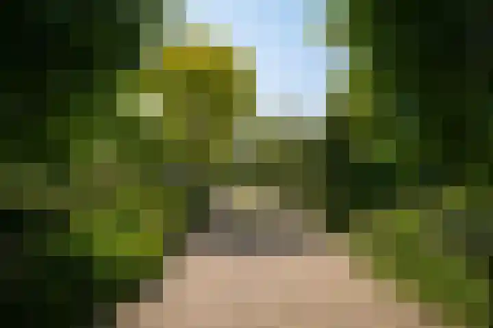 Provincialeweg 28 Maren-Kessel thumbnail 66