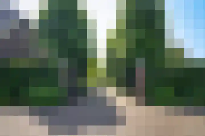 Provincialeweg 28 Maren-Kessel thumbnail 67