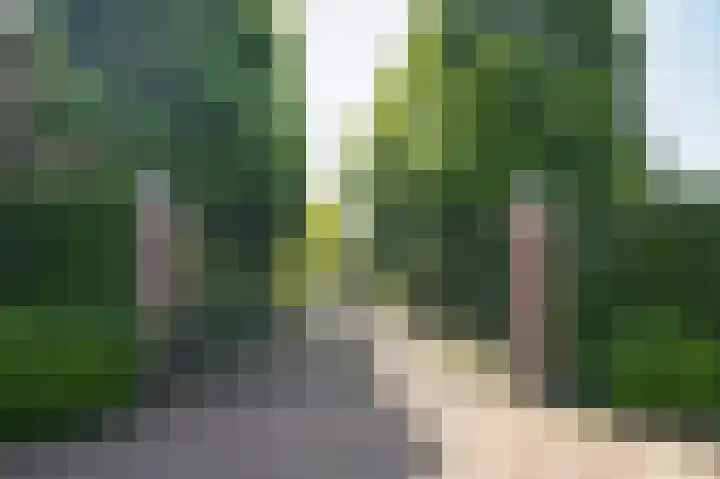 Provincialeweg 28 Maren-Kessel thumbnail 68