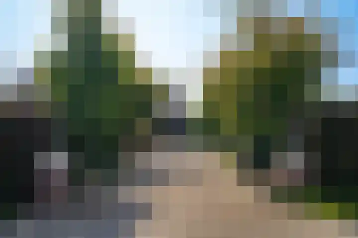 Provincialeweg 28 Maren-Kessel thumbnail 76