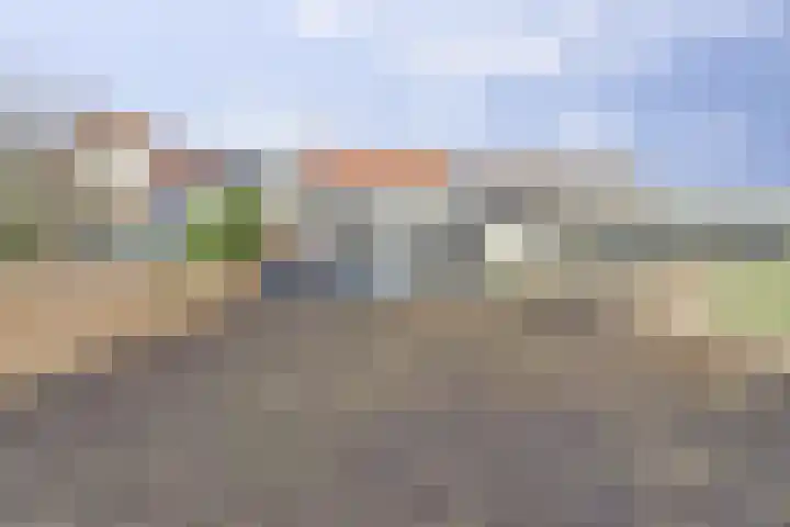 Provincialeweg 29 Geersdijk thumbnail 25