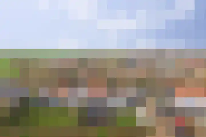 Provincialeweg 29 Geersdijk thumbnail 31