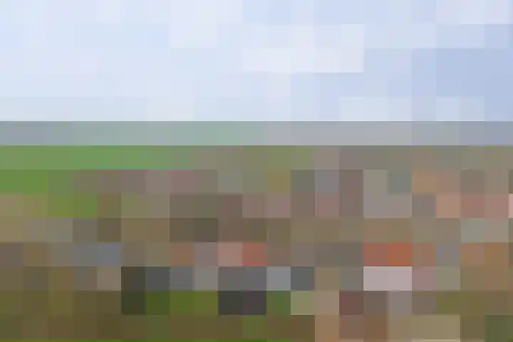 Provincialeweg 29 Geersdijk thumbnail 32