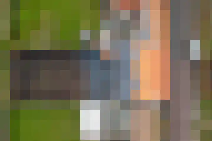 Provincialeweg 29 Geersdijk thumbnail 33