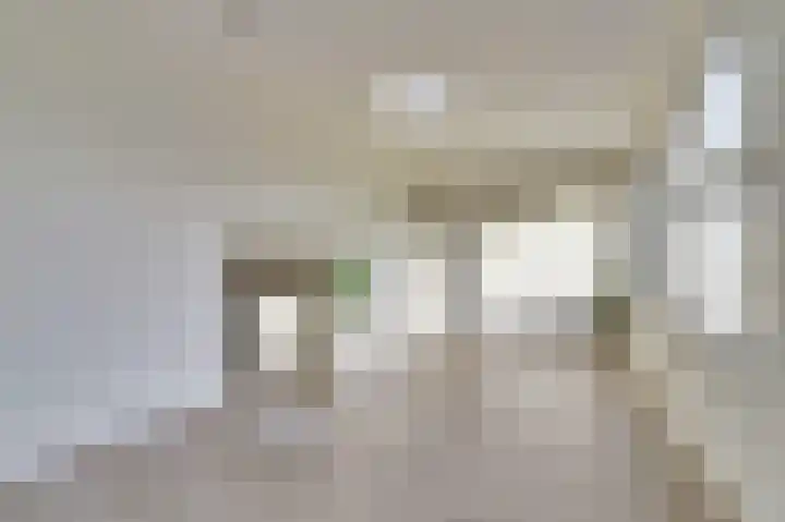 Provincialeweg 29 Geersdijk thumbnail 9