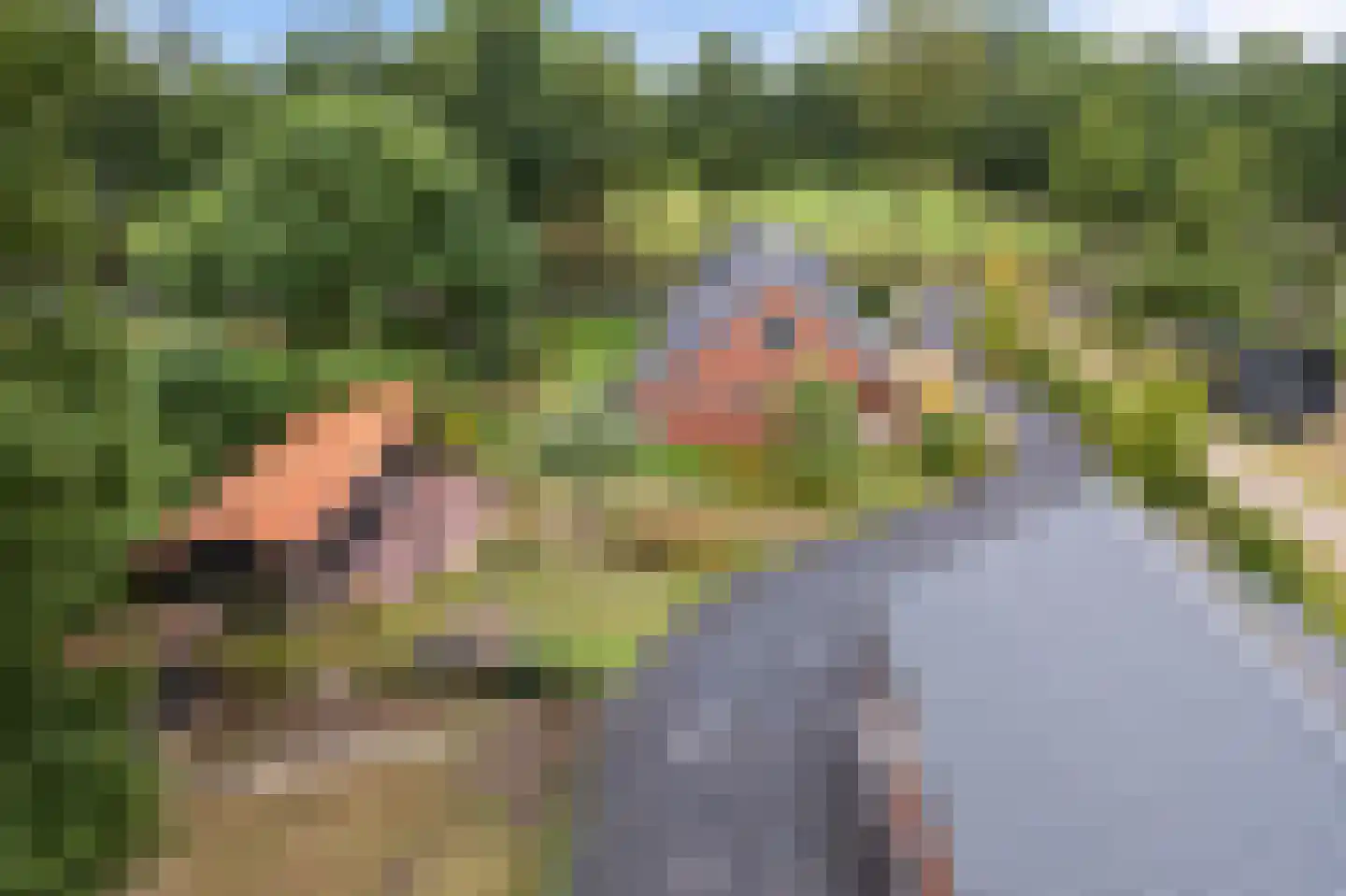 Provincialeweg 3 Kornhorn thumbnail 32