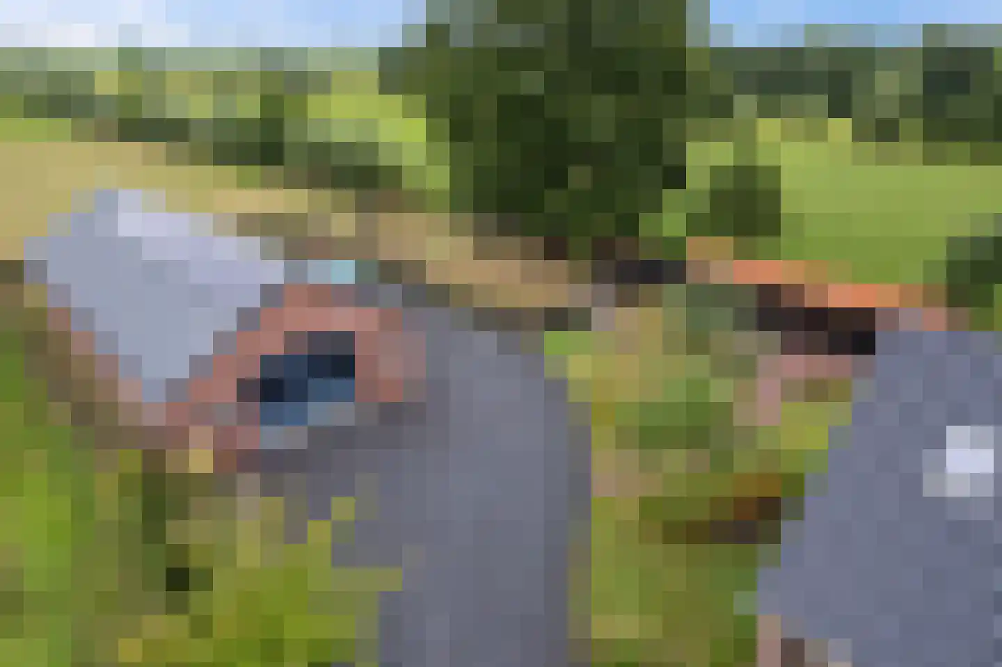 Provincialeweg 3 Kornhorn thumbnail 33