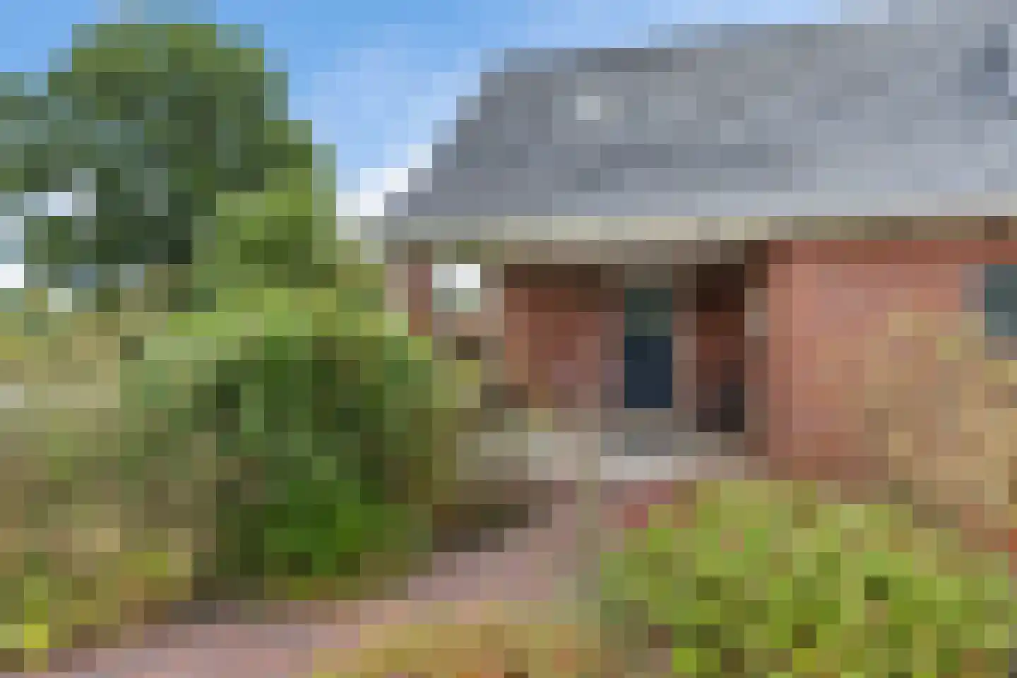 Provincialeweg 3 Kornhorn thumbnail 50