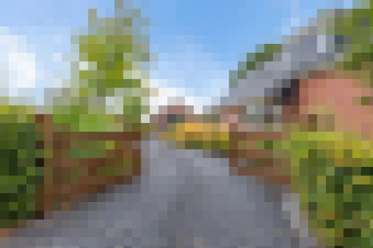 Provincialeweg 3 Kornhorn thumbnail 52