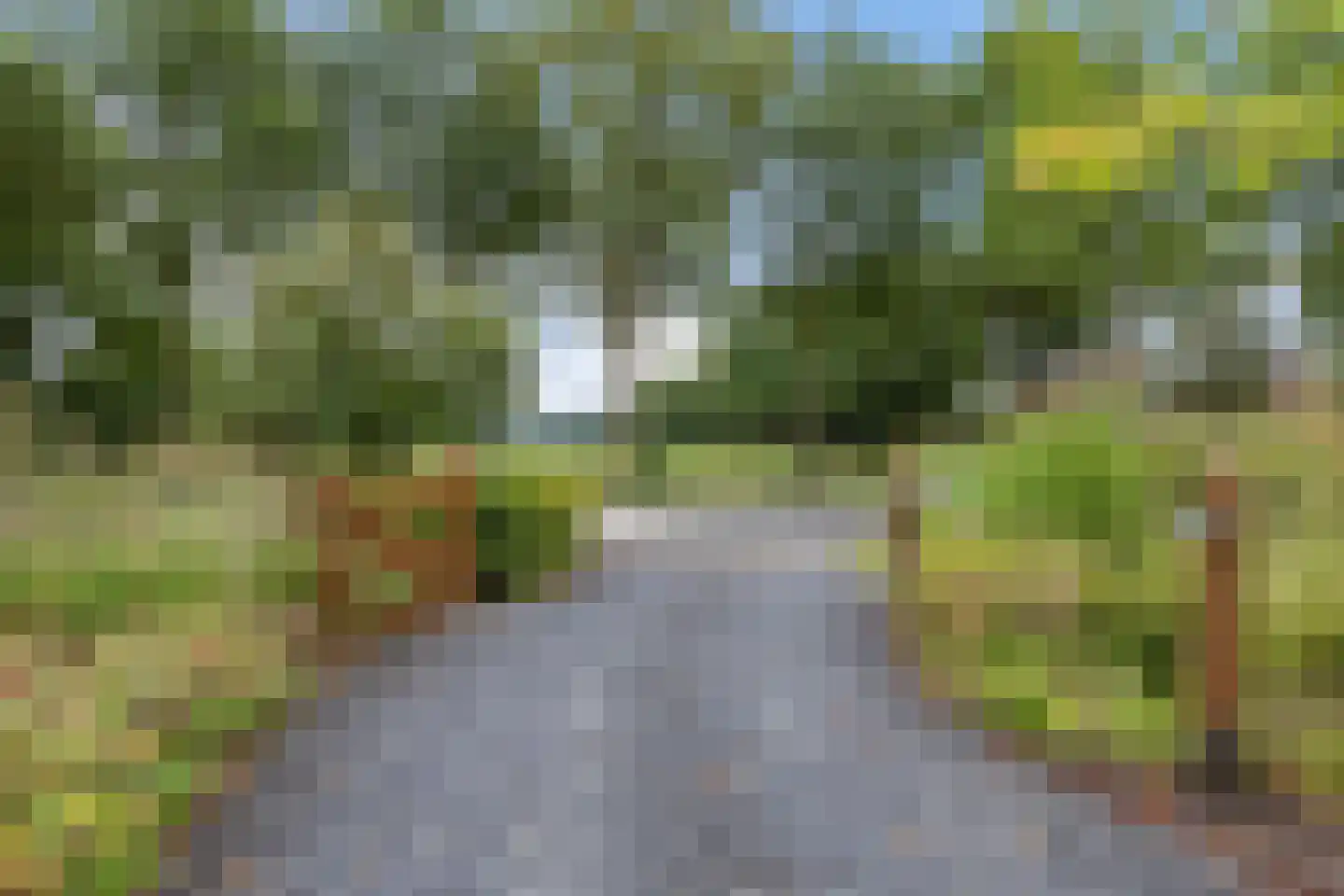 Provincialeweg 3 Kornhorn thumbnail 53