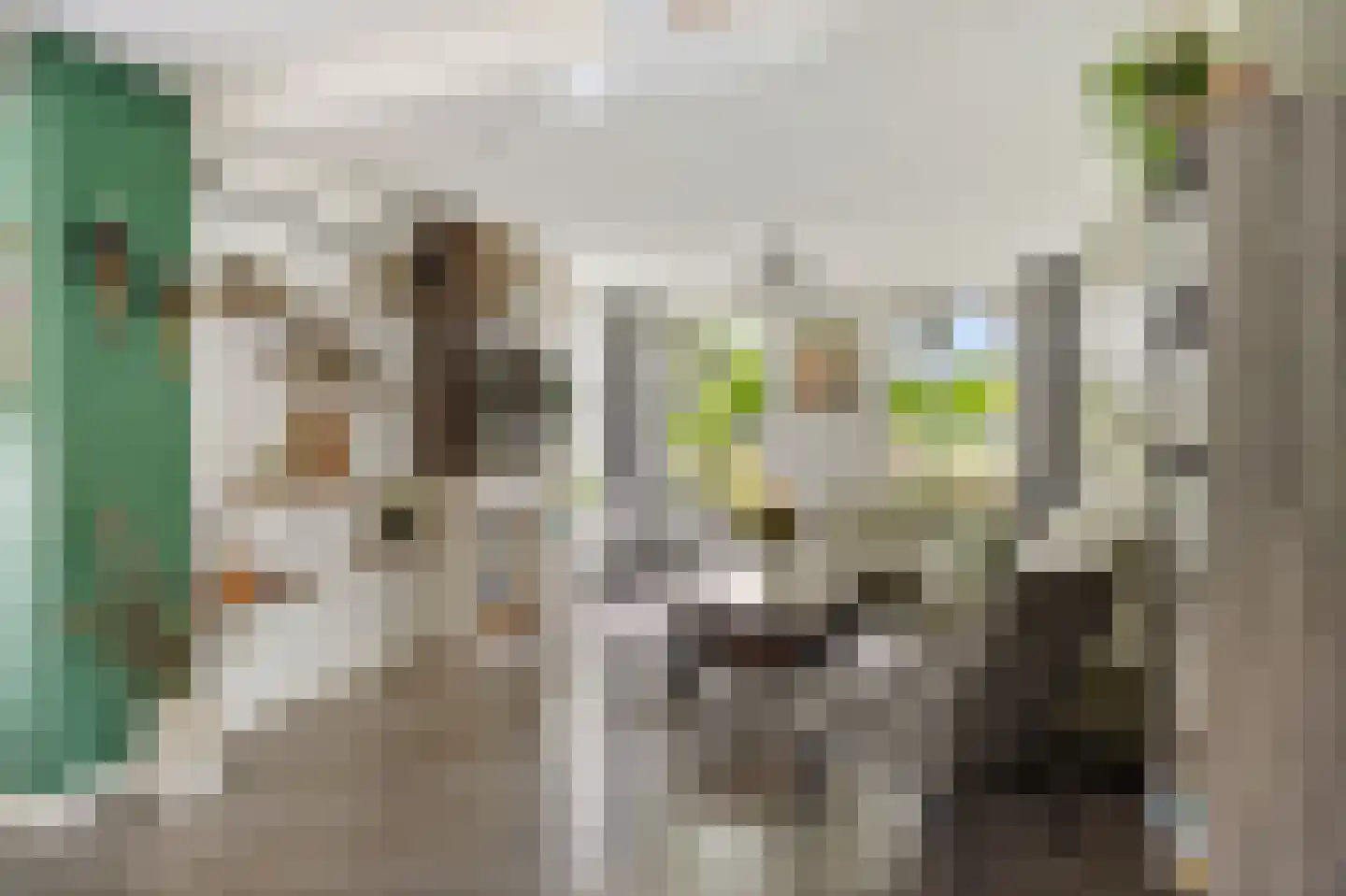 Provincialeweg 3 Kornhorn thumbnail 6