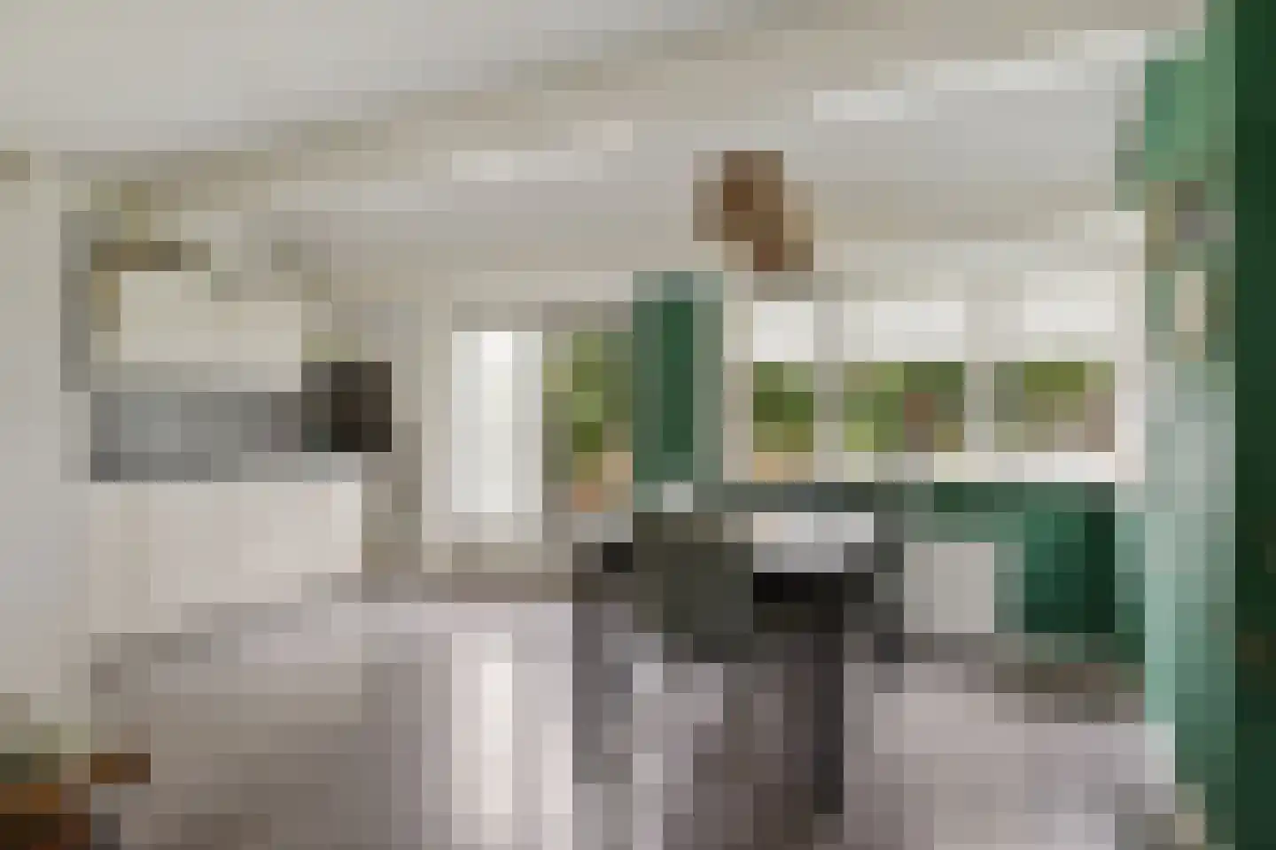 Provincialeweg 3 Kornhorn thumbnail 8