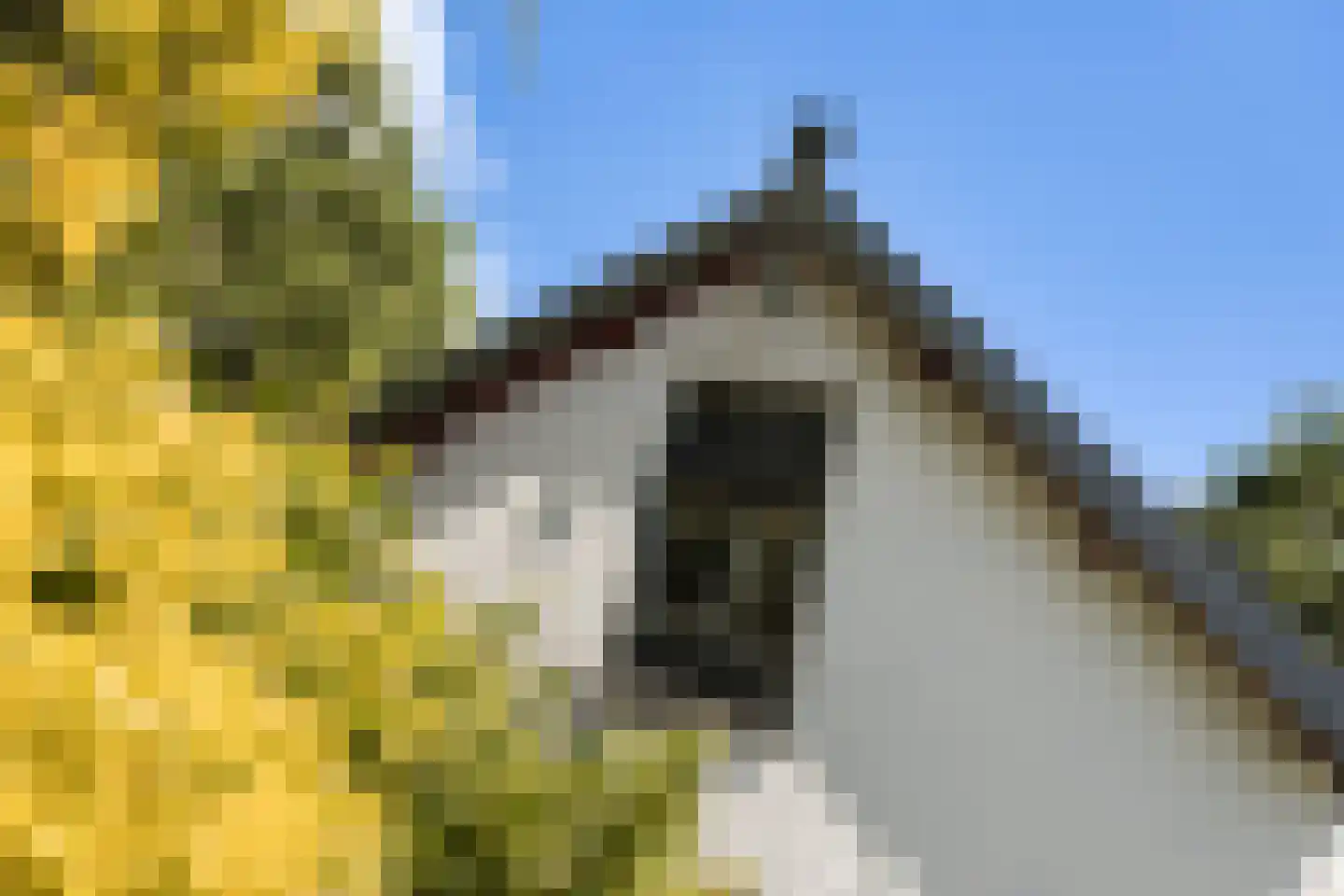 Provincialeweg 3 Mijnsheerenland thumbnail 10