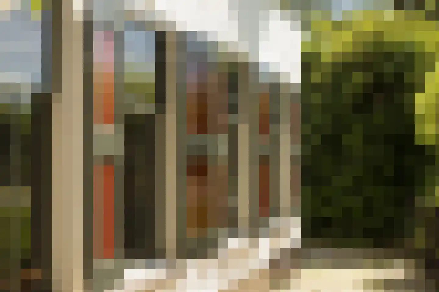 Provincialeweg 3 Mijnsheerenland thumbnail 12
