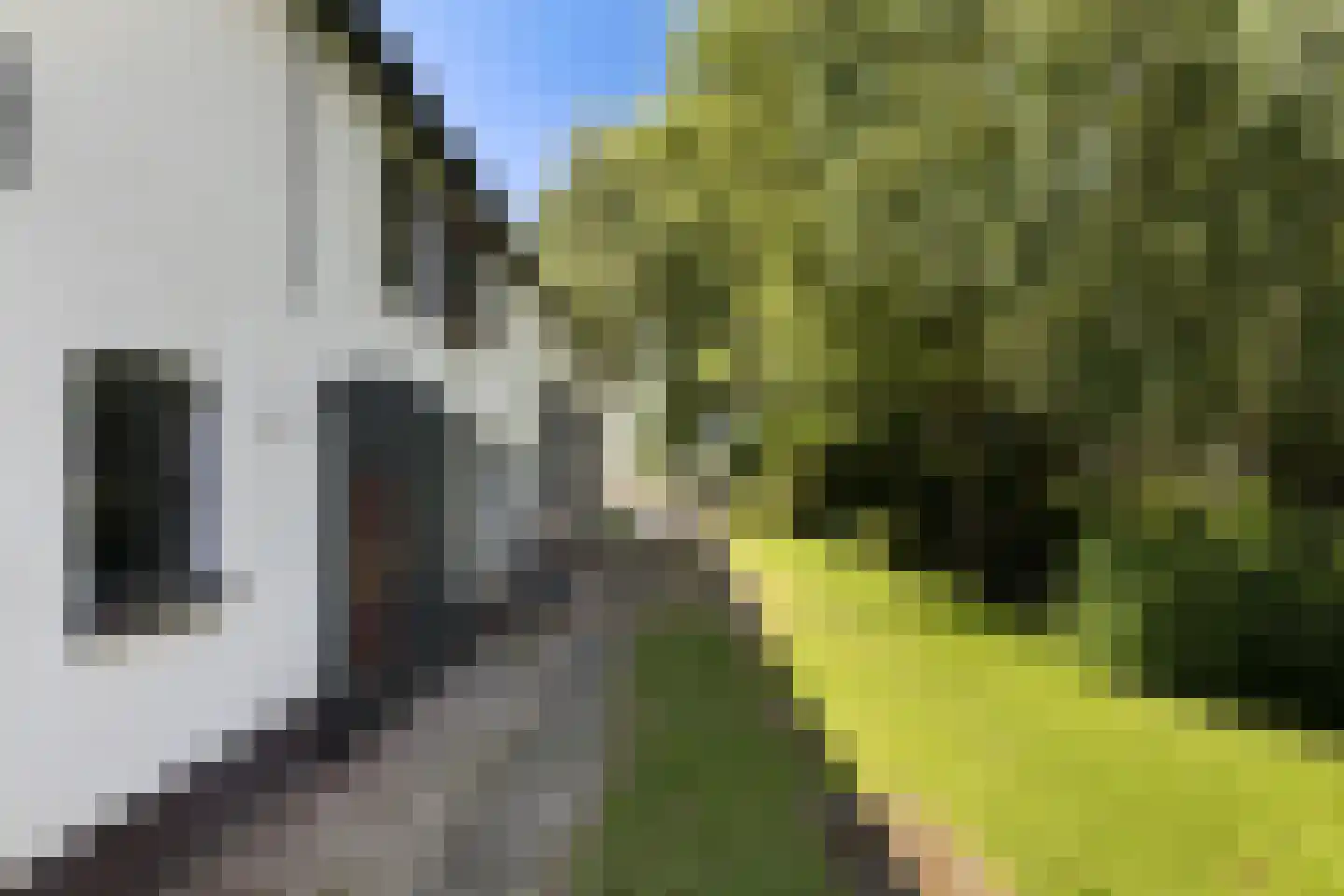 Provincialeweg 3 Mijnsheerenland thumbnail 14