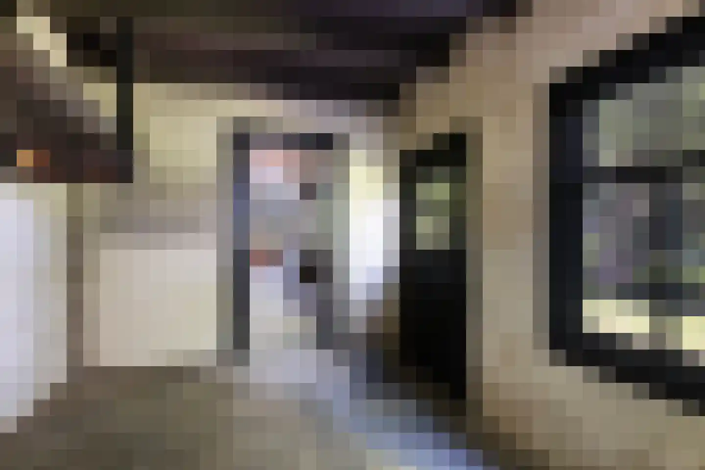 Provincialeweg 3 Mijnsheerenland thumbnail 16