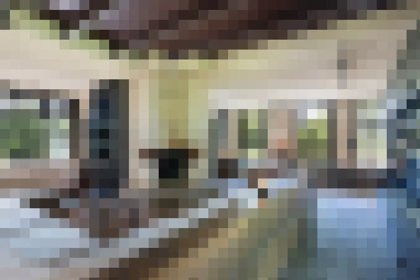 Provincialeweg 3 Mijnsheerenland thumbnail 17