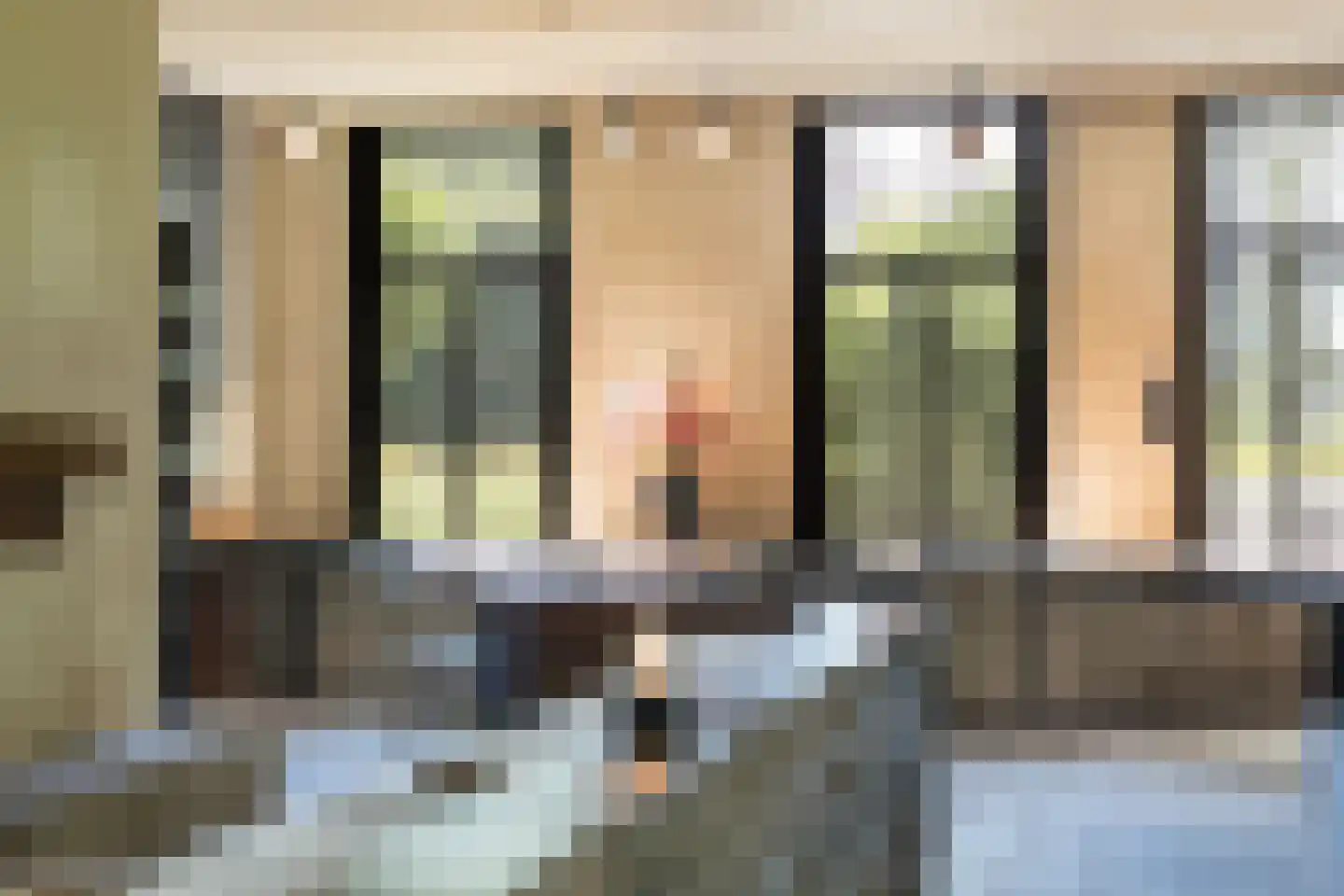 Provincialeweg 3 Mijnsheerenland thumbnail 18