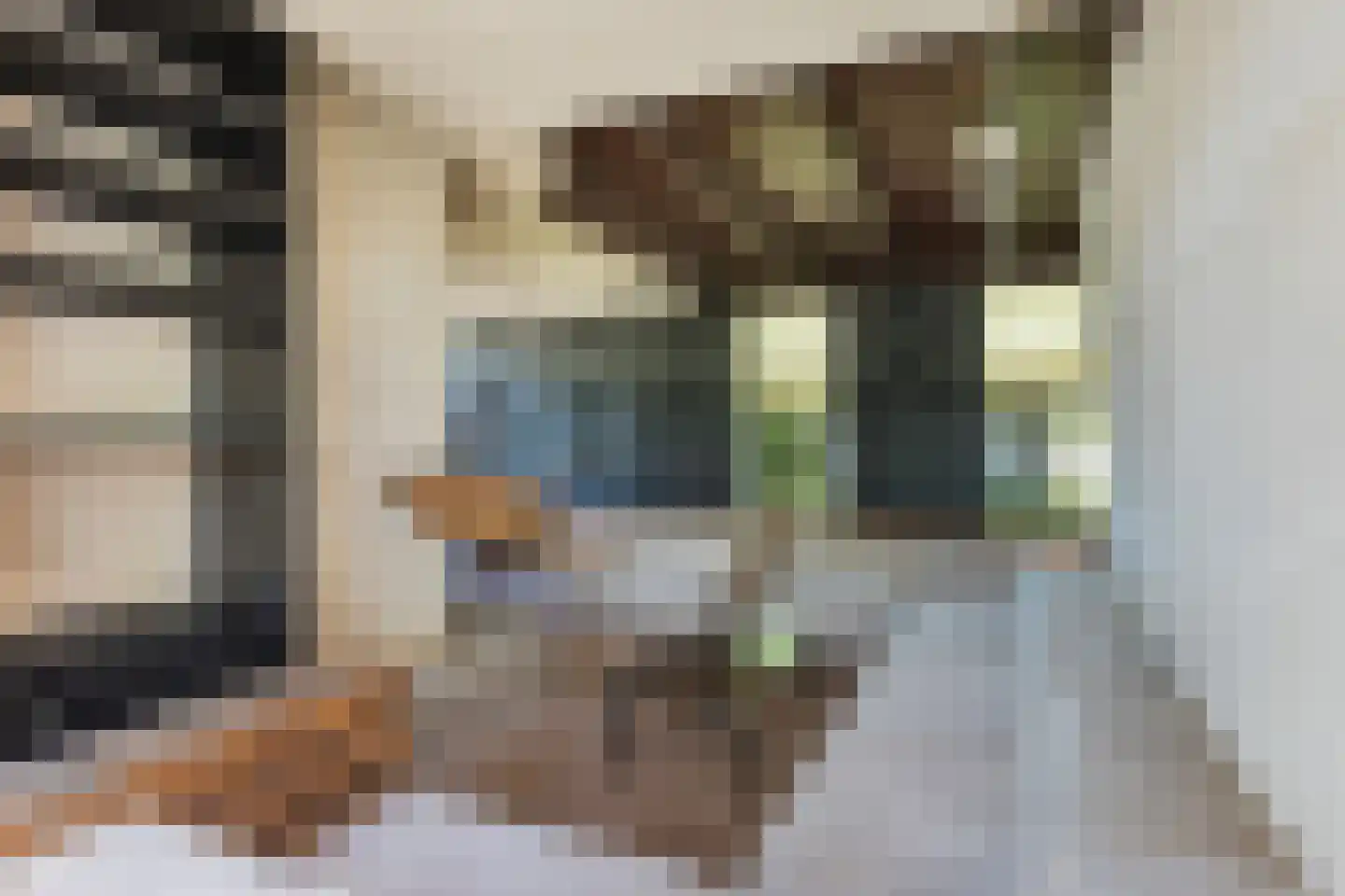 Provincialeweg 3 Mijnsheerenland thumbnail 21