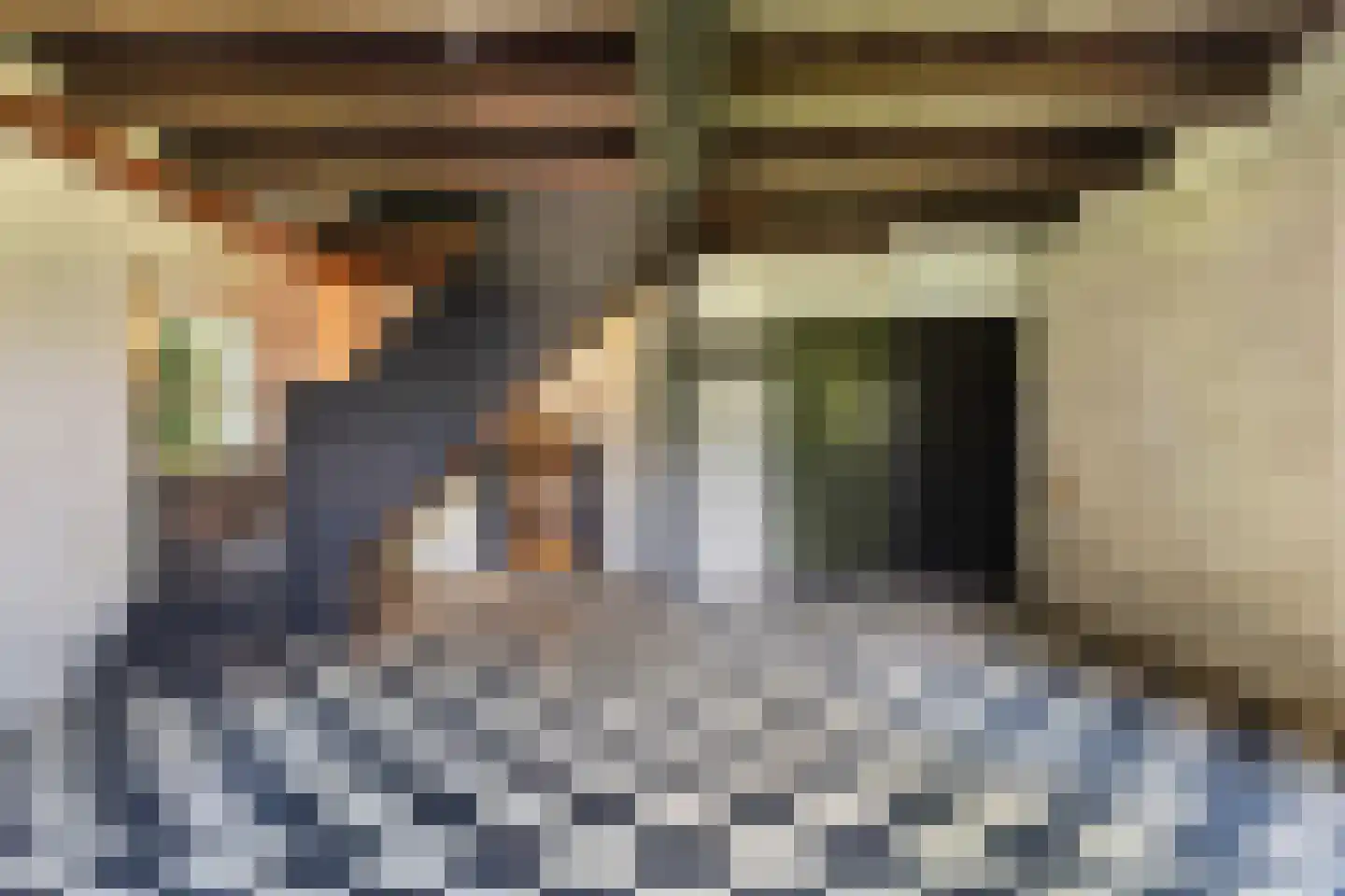 Provincialeweg 3 Mijnsheerenland thumbnail 32