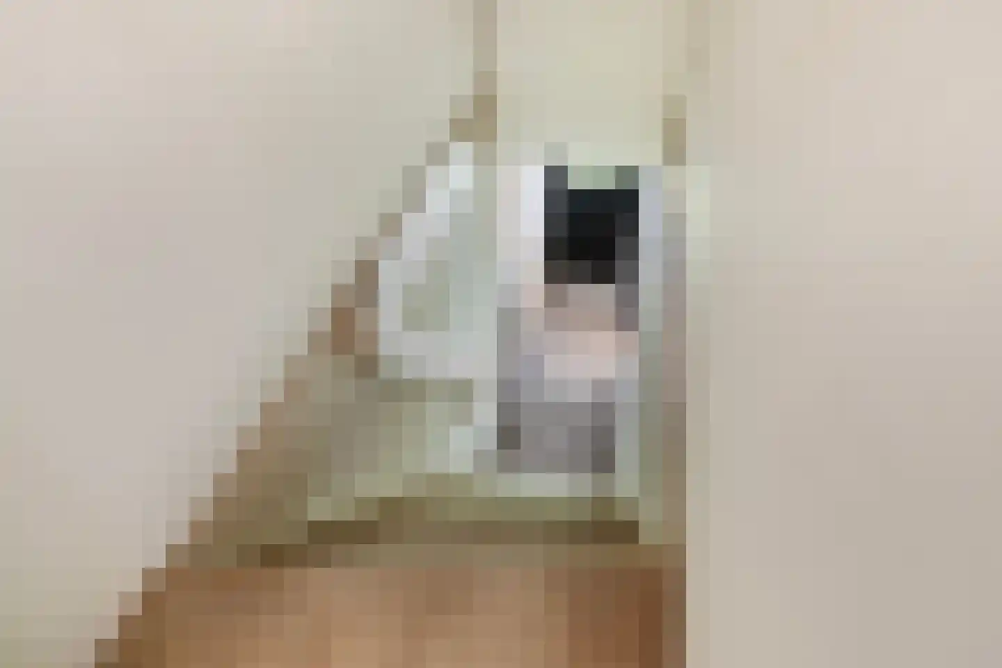 Provincialeweg 3 Mijnsheerenland thumbnail 37