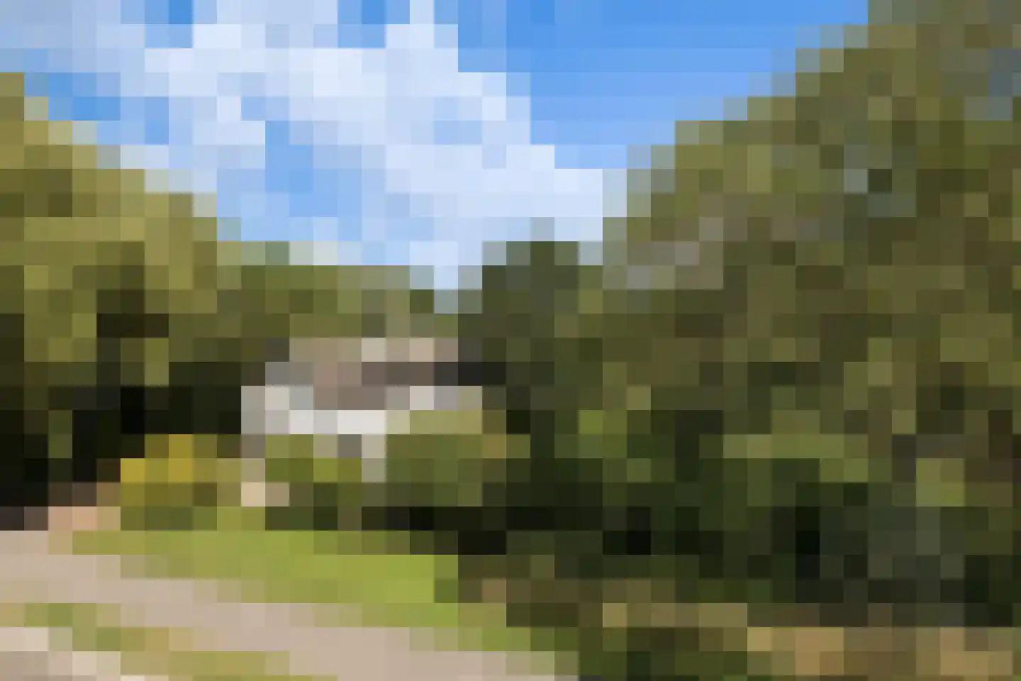 Provincialeweg 3 Mijnsheerenland thumbnail 4