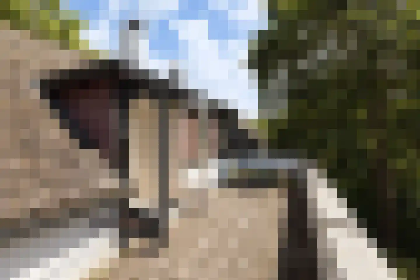Provincialeweg 3 Mijnsheerenland thumbnail 44