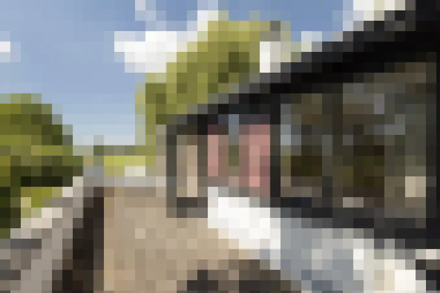 Provincialeweg 3 Mijnsheerenland thumbnail 45