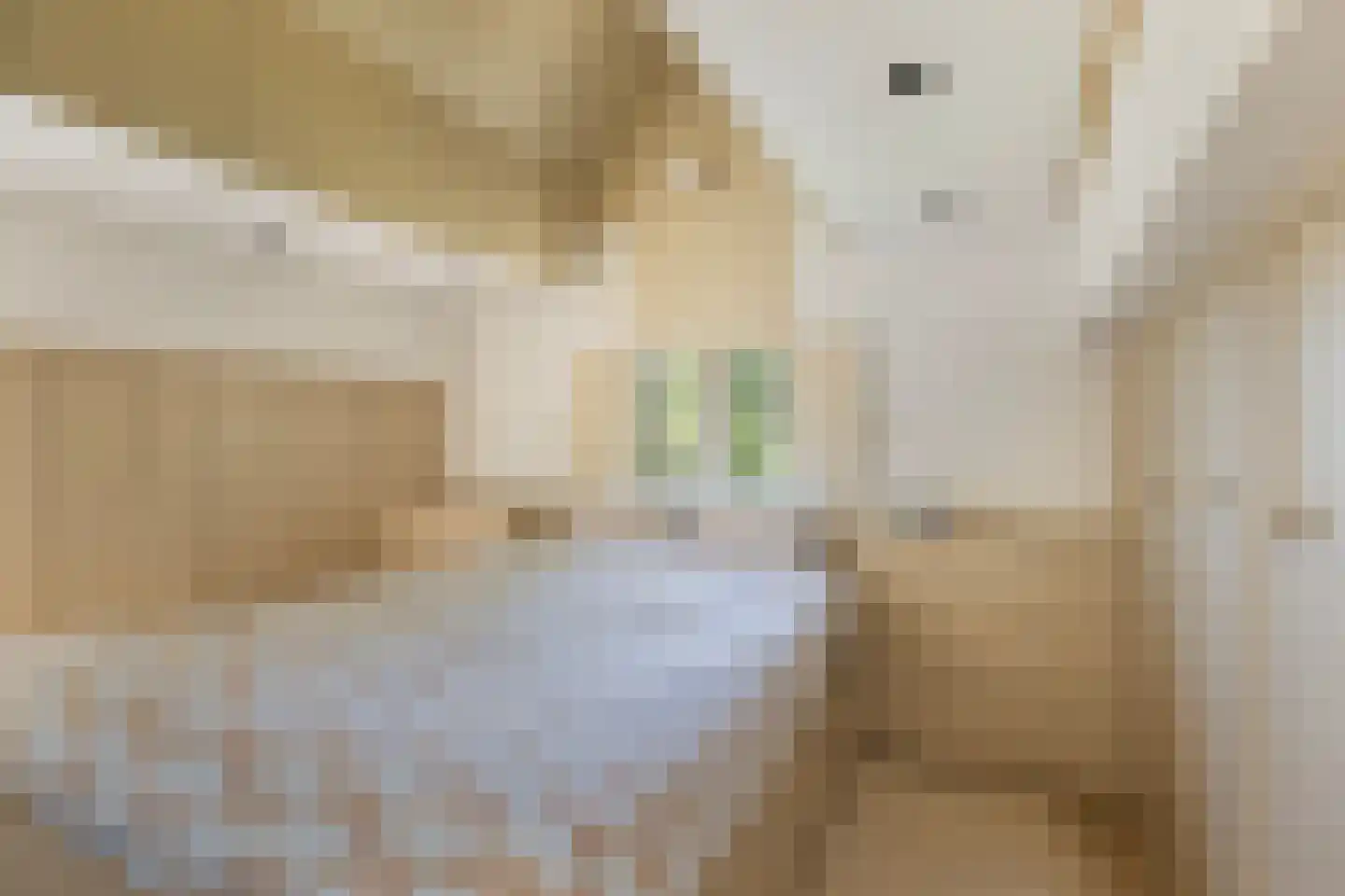 Provincialeweg 3 Mijnsheerenland thumbnail 48
