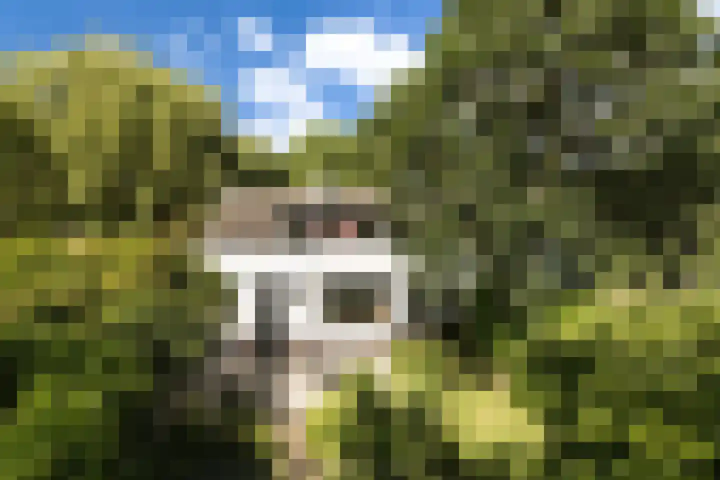 Provincialeweg 3 Mijnsheerenland thumbnail 59