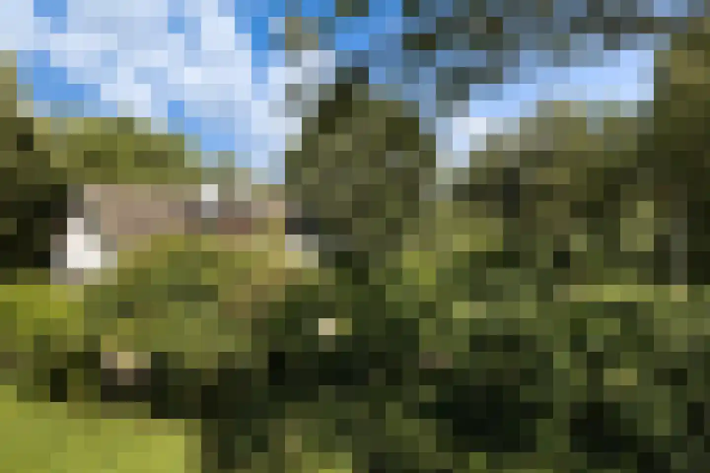 Provincialeweg 3 Mijnsheerenland thumbnail 6