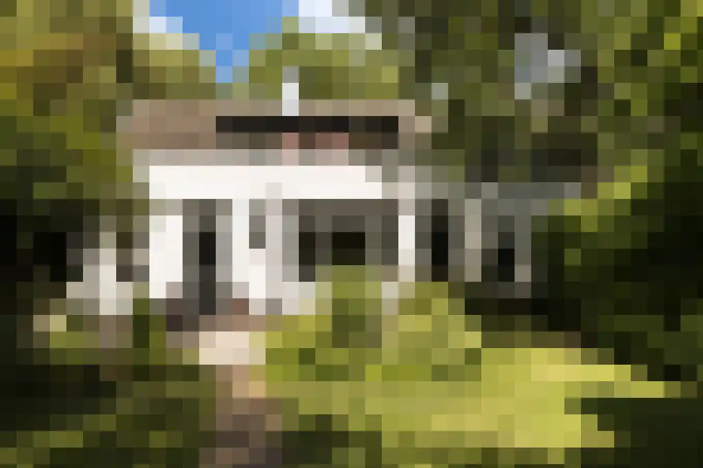 Provincialeweg 3 Mijnsheerenland thumbnail 60