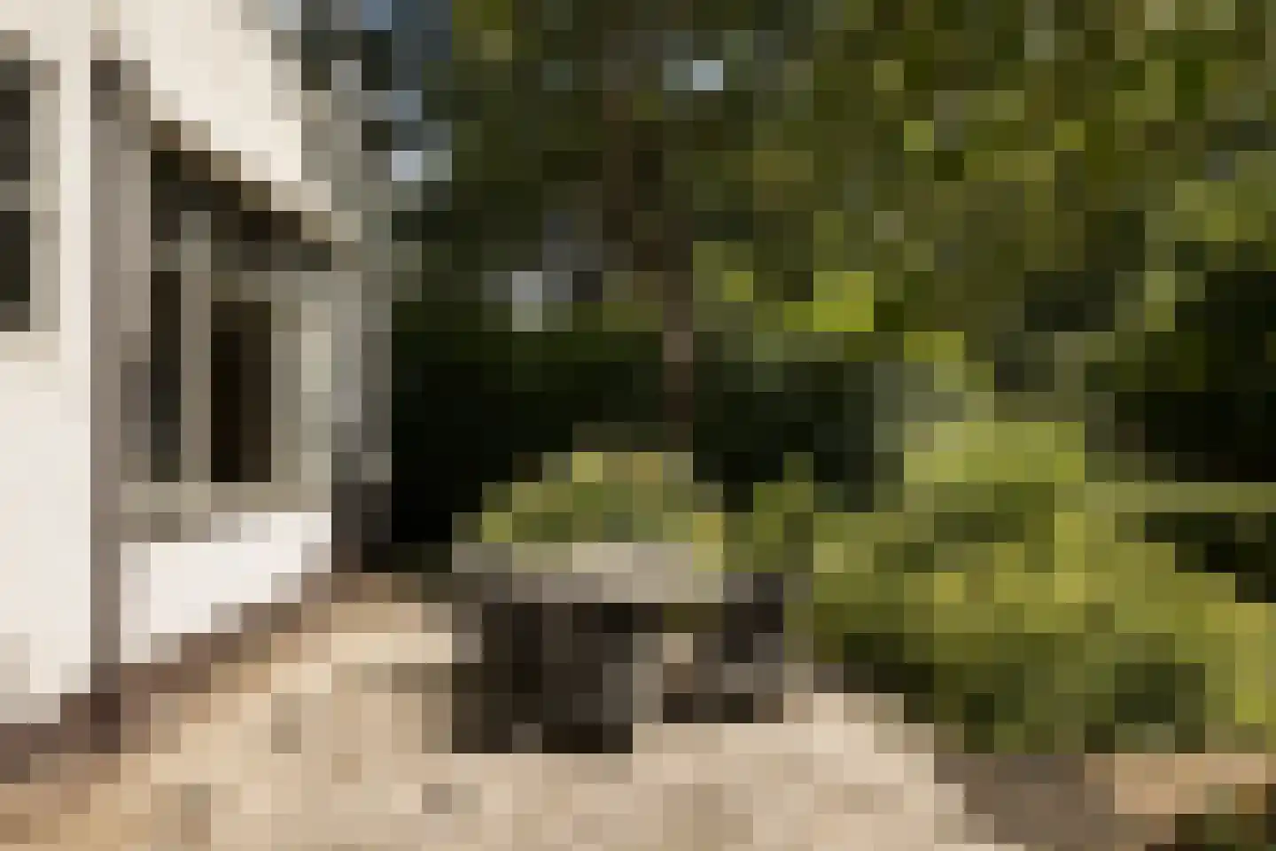 Provincialeweg 3 Mijnsheerenland thumbnail 61