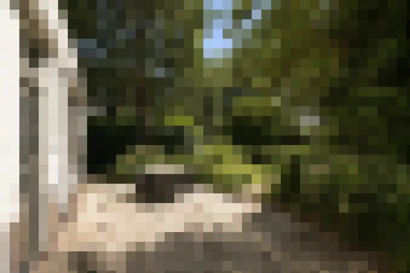 Provincialeweg 3 Mijnsheerenland thumbnail 62