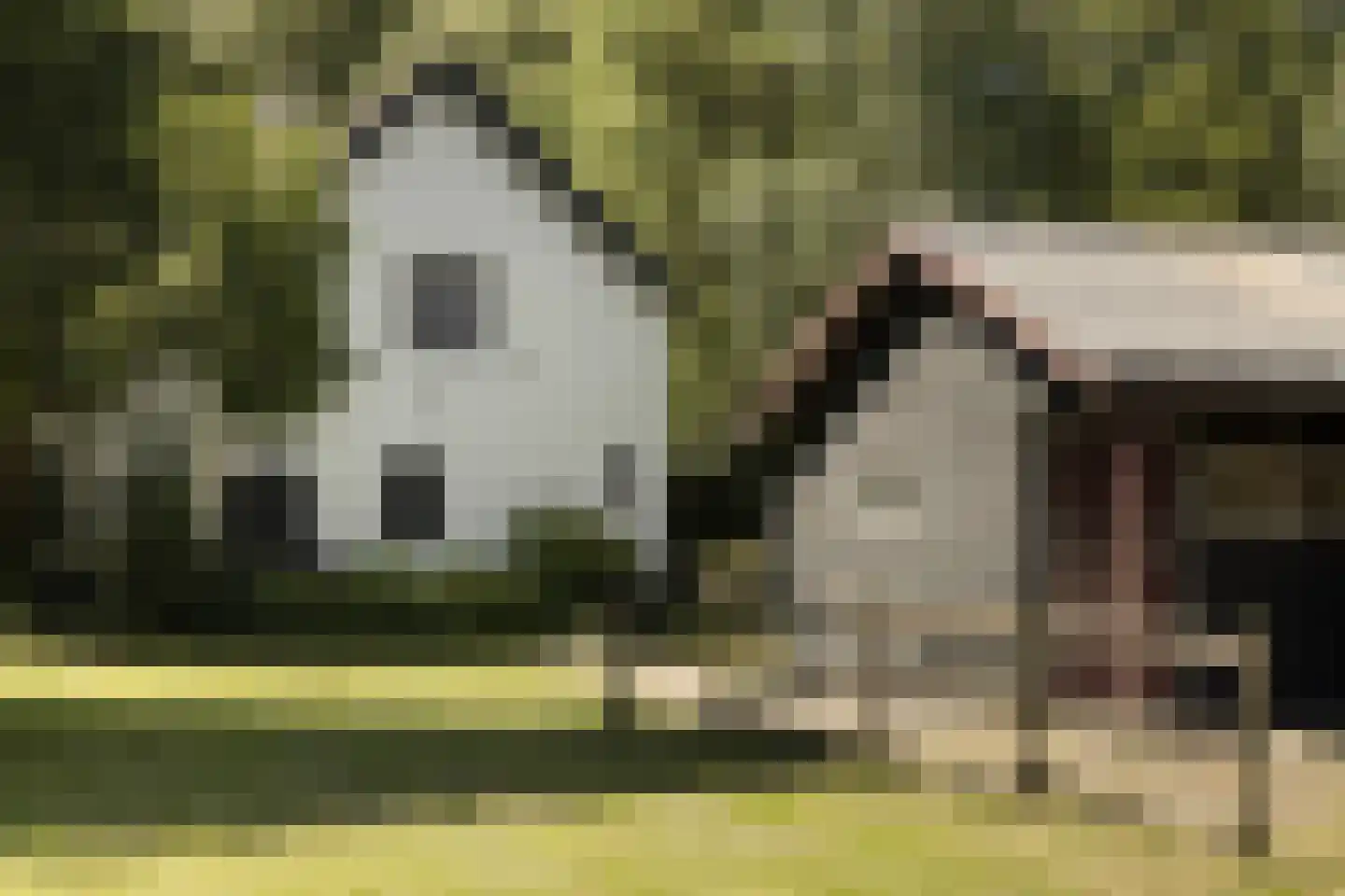 Provincialeweg 3 Mijnsheerenland thumbnail 63