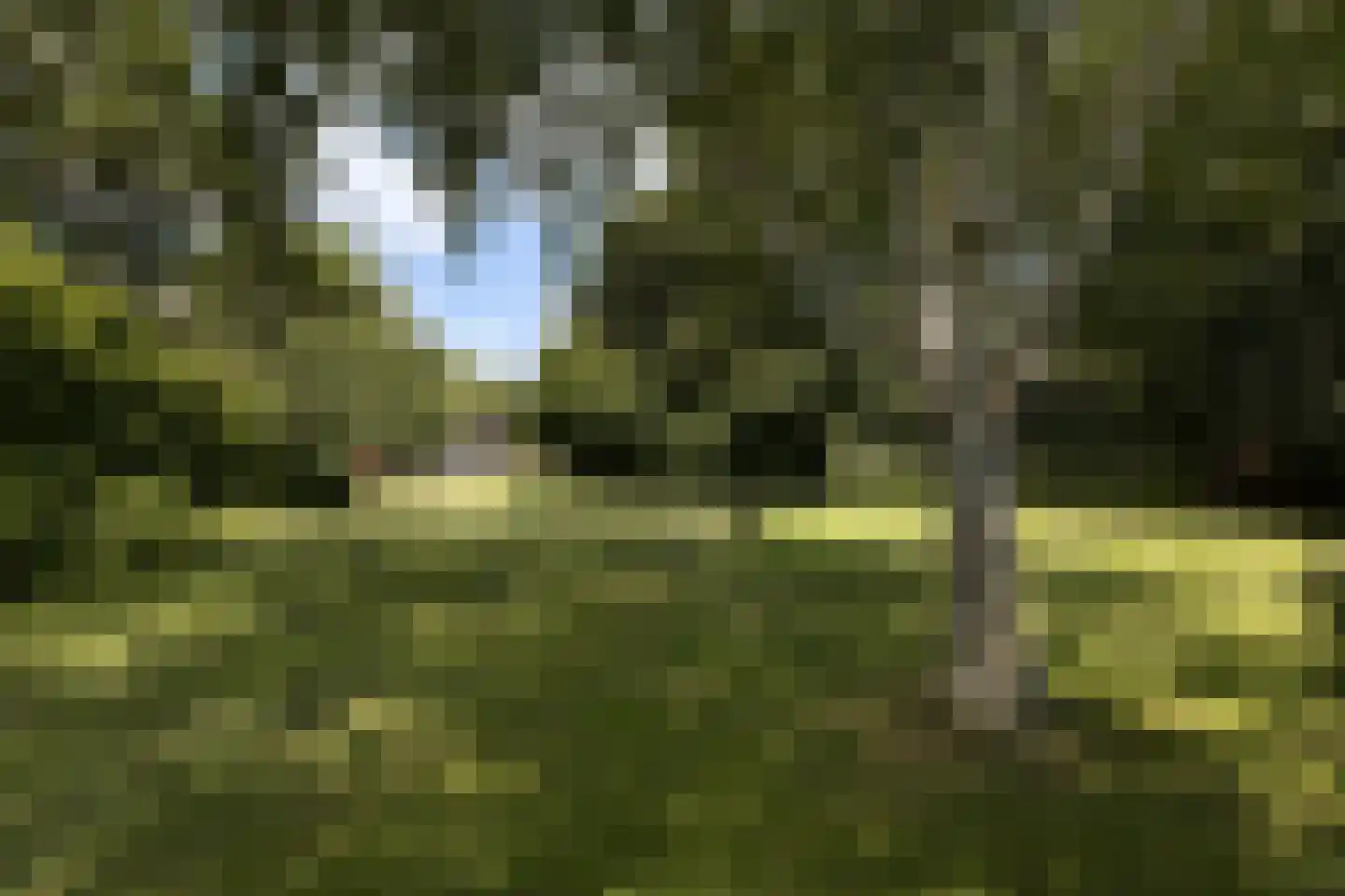 Provincialeweg 3 Mijnsheerenland thumbnail 65