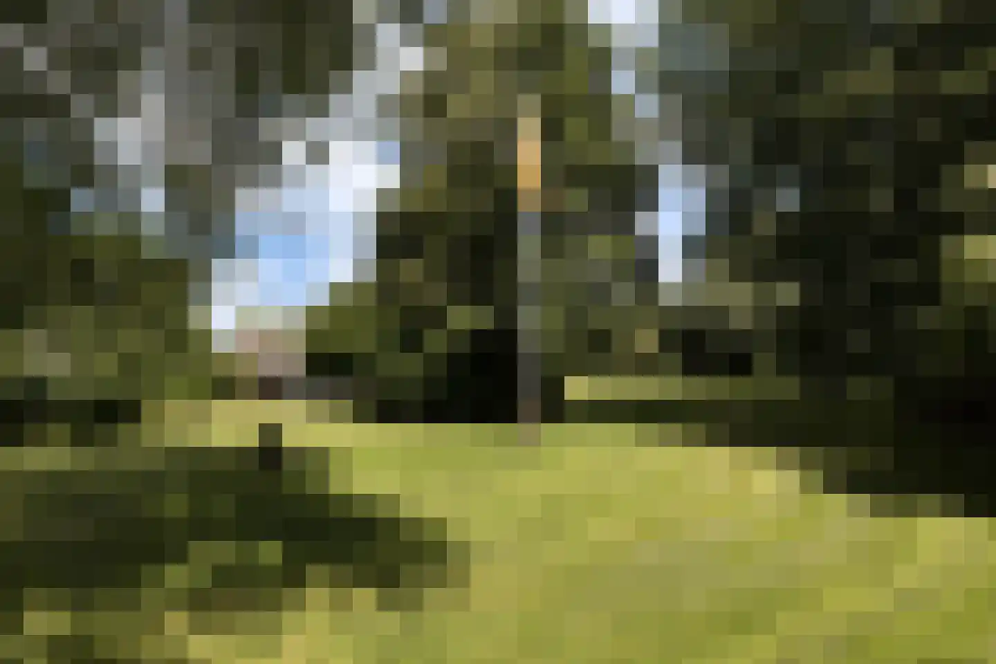 Provincialeweg 3 Mijnsheerenland thumbnail 66