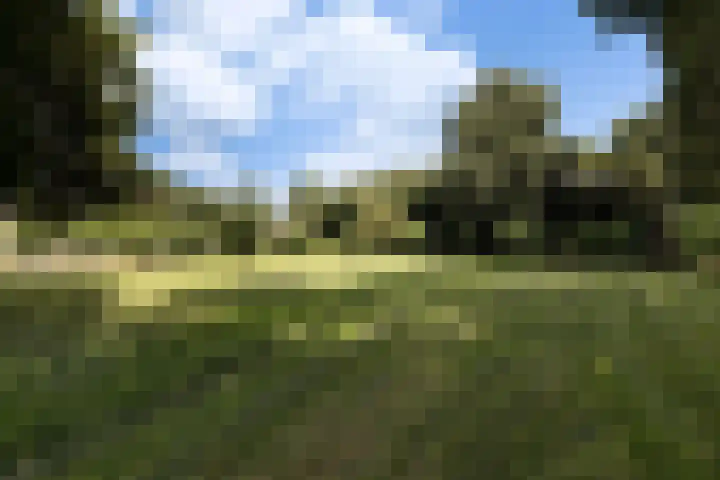 Provincialeweg 3 Mijnsheerenland thumbnail 67