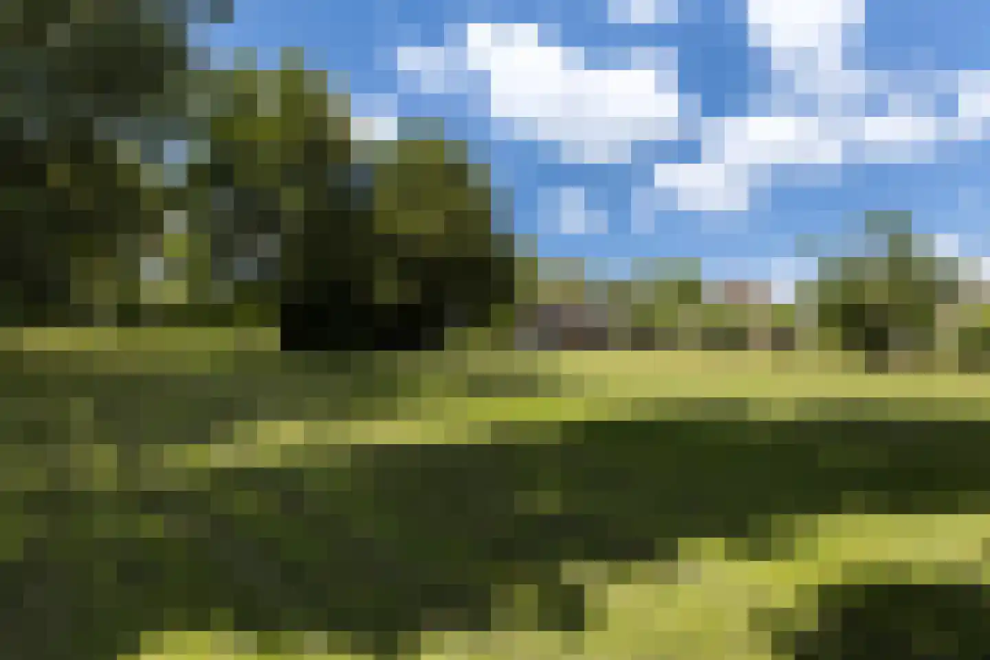 Provincialeweg 3 Mijnsheerenland thumbnail 68